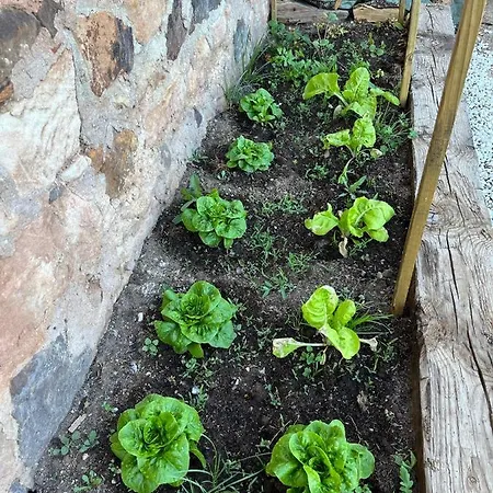 El Herrero Casa Rural *