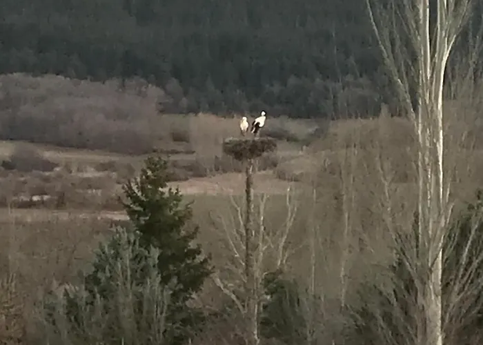 El Herrero Casa Rural Kır Evi