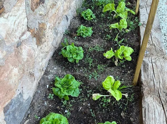 El Herrero Casa Rural *